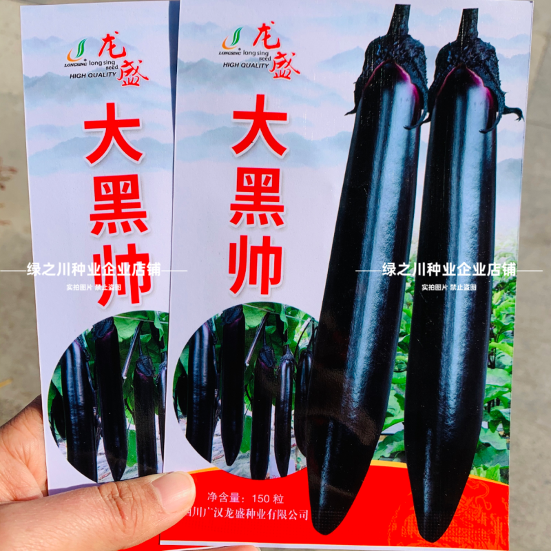 杂交一代油黑长茄种子四川长黑帅大黑帅茄子种子果肉淡绿