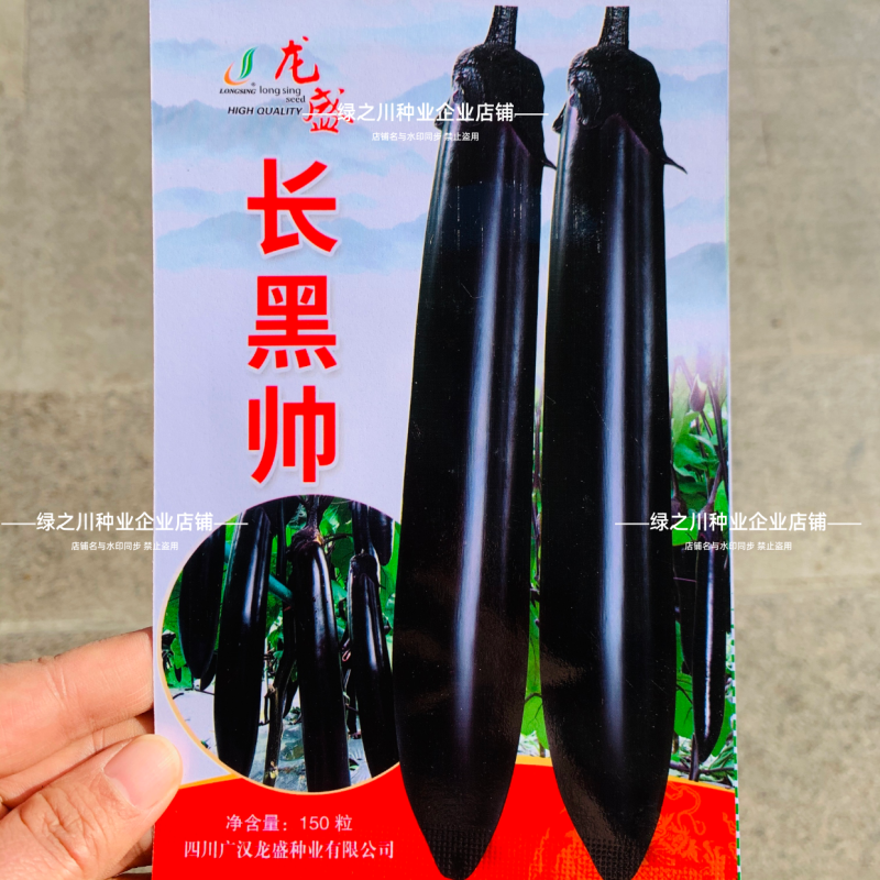 杂交一代油黑长茄种子四川长黑帅大黑帅茄子种子果肉淡绿