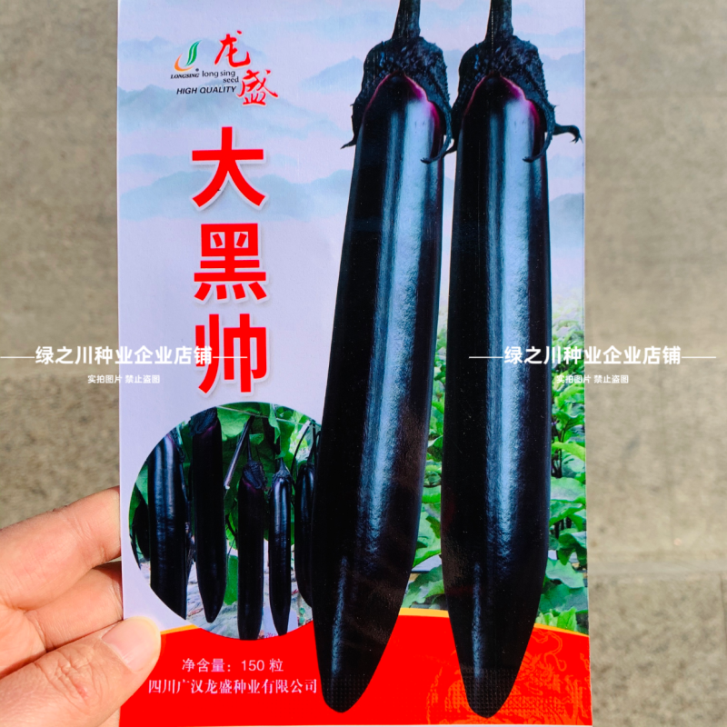 杂交一代油黑长茄种子四川长黑帅大黑帅茄子种子果肉淡绿