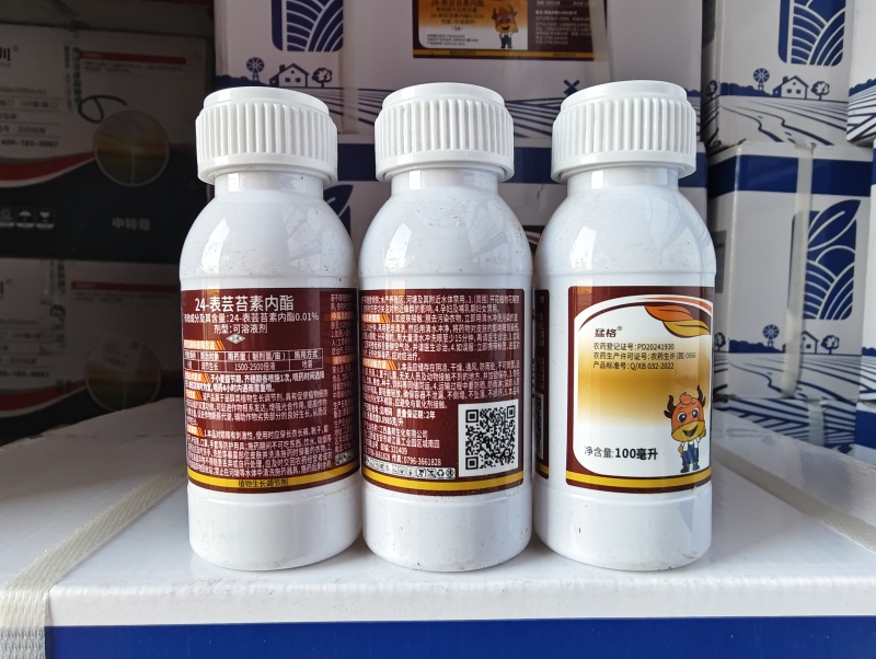 24表芸苔素内酯(整箱批)可溶液剂芸苔素内酯