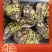 【现货】正宗乳山生蚝规格齐全常年供应肥度饱满产地直发