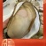 【现货】正宗乳山生蚝规格齐全常年供应肥度饱满产地直发