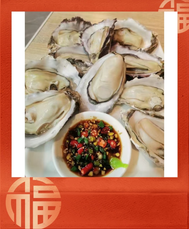 【现货】正宗乳山生蚝规格齐全常年供应肥度饱满产地直发