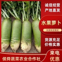 水果萝卜精品中的精品，商超市场电商支持各种包装