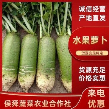 山东平度精品水果萝卜，支持各种包装，全国发货