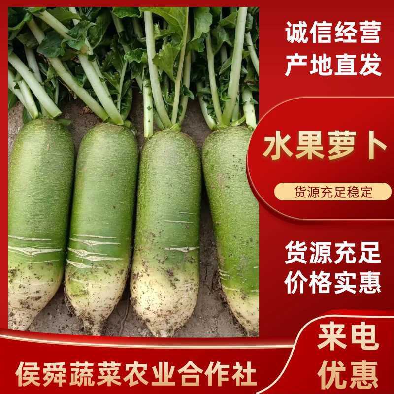山东平度精品水果萝卜，支持各种包装，全国发货