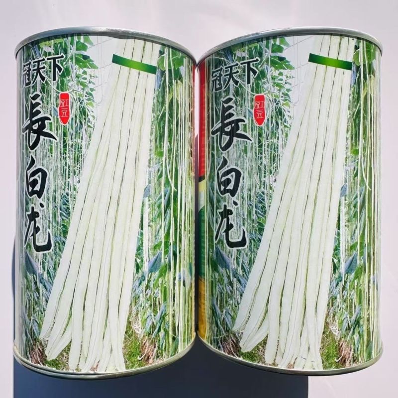 冠天下长白龙豇豆种子高产特长白条豆角种子早熟白玉豇豆种籽