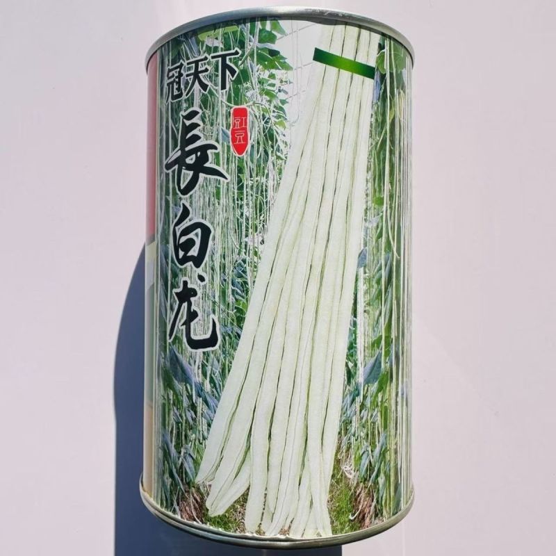 冠天下长白龙豇豆种子高产特长白条豆角种子早熟白玉豇豆种籽