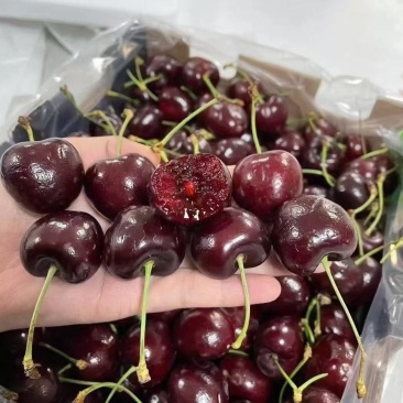 车厘子批发对接批发商一手货源大量现货产地直发对接团购