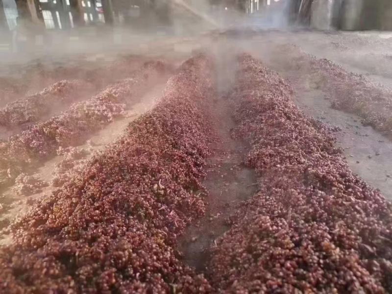 【源头产地】高粱酒糟干酒糟常年供应高蛋白牛羊饲料