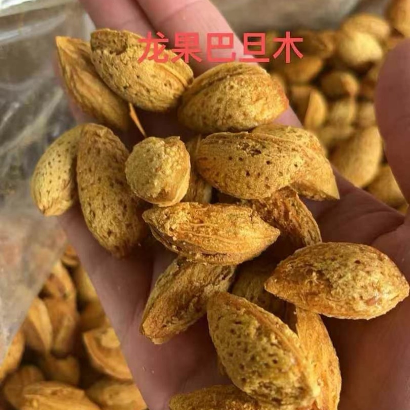 2024新货薄壳巴旦木手剥奶香味坚果干果休闲零食