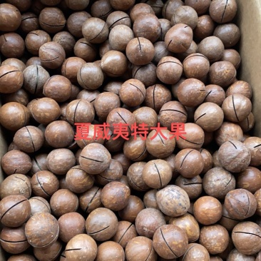【夏威夷大果】夏威夷果新货奶油味坚果整件批发