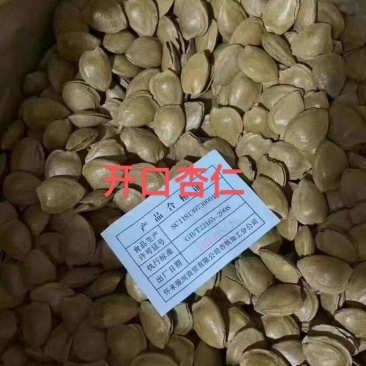 手剥开口杏核新货加工休闲零食