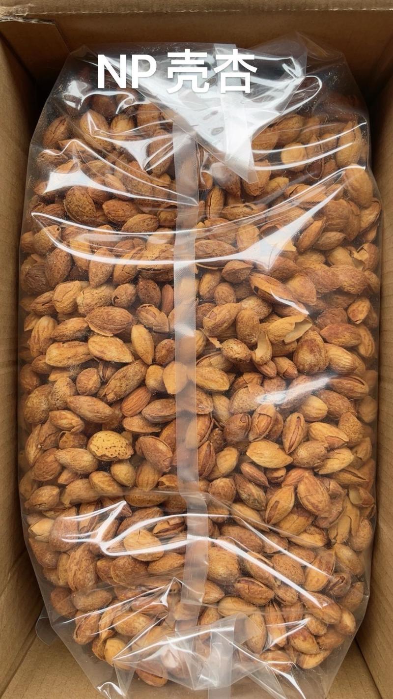 巴旦木新货产地直发品质保证一手货源大量现货对接批发商