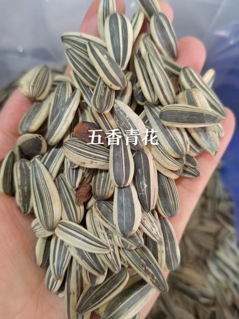 葵花籽批发生熟都有一手货源大量现货产地直发品质保证价格漂亮