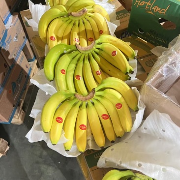 香蕉大量现货产地直发品质保证对接批发商一手货源