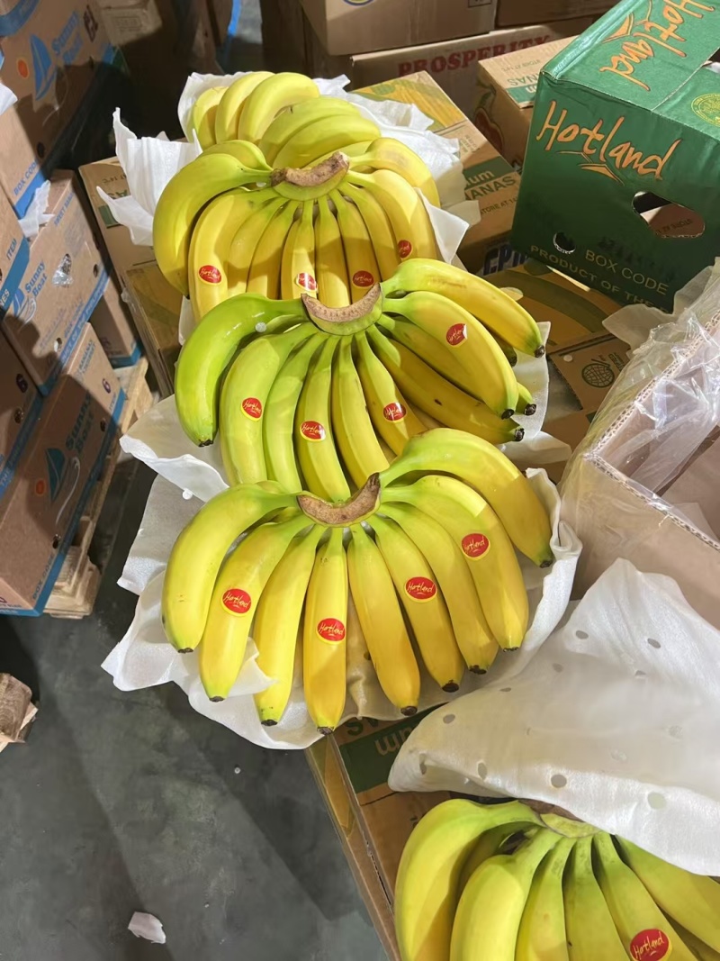 香蕉大量现货产地直发品质保证对接批发商一手货源