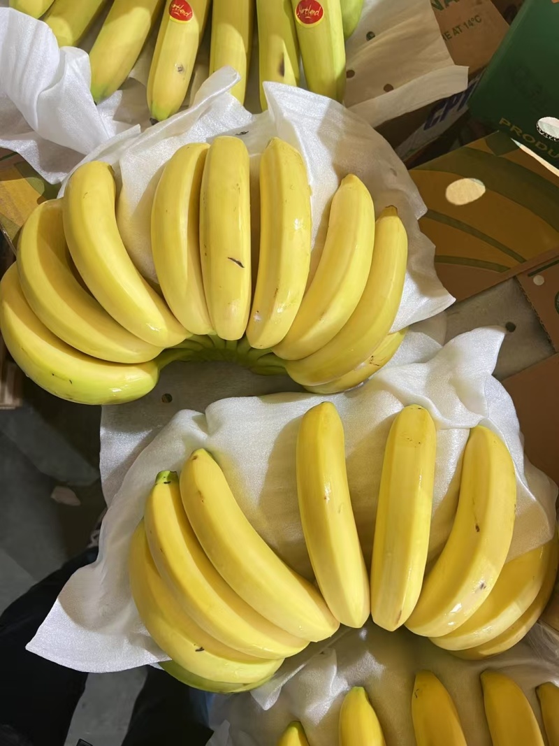 香蕉大量现货产地直发品质保证对接批发商一手货源