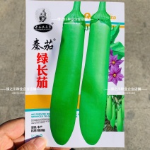 秦蔬绿长茄种子春秋抗病高产青绿皮茄子早熟长棒型茄子种子