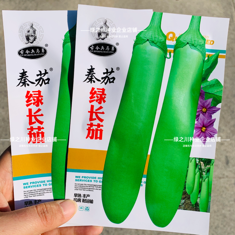 秦蔬绿长茄种子春秋抗病高产青绿皮茄子早熟长棒型茄子种子