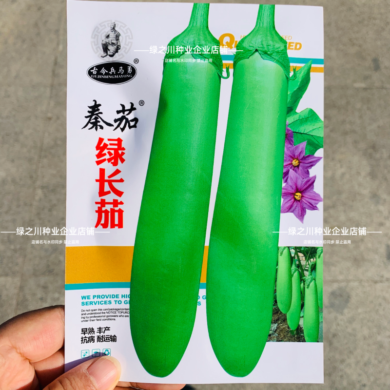 秦蔬绿长茄种子春秋抗病高产青绿皮茄子早熟长棒型茄子种子