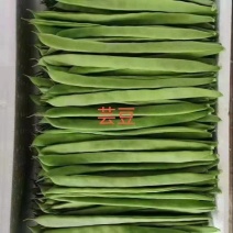 扁豆，白豆，大量现货供应，常年提供豆类货源