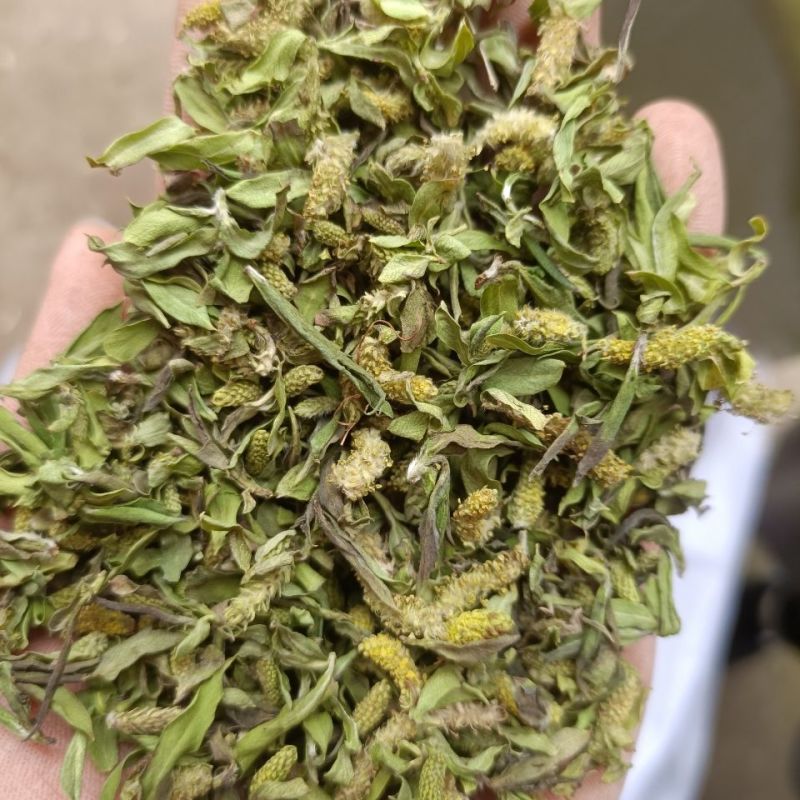 中药材柳树芽1公斤柳芽嫩柳芽柳芽茶晒干人工传统