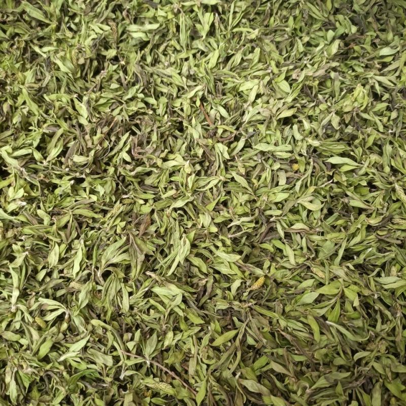 中药材柳树芽1公斤柳芽嫩柳芽柳芽茶晒干人工传统