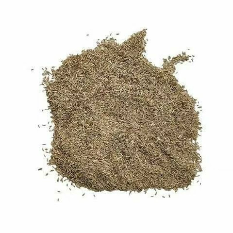 矮生百慕大草坪种子别墅庭院绿化草籽耐踩踏耐寒耐旱高档四季