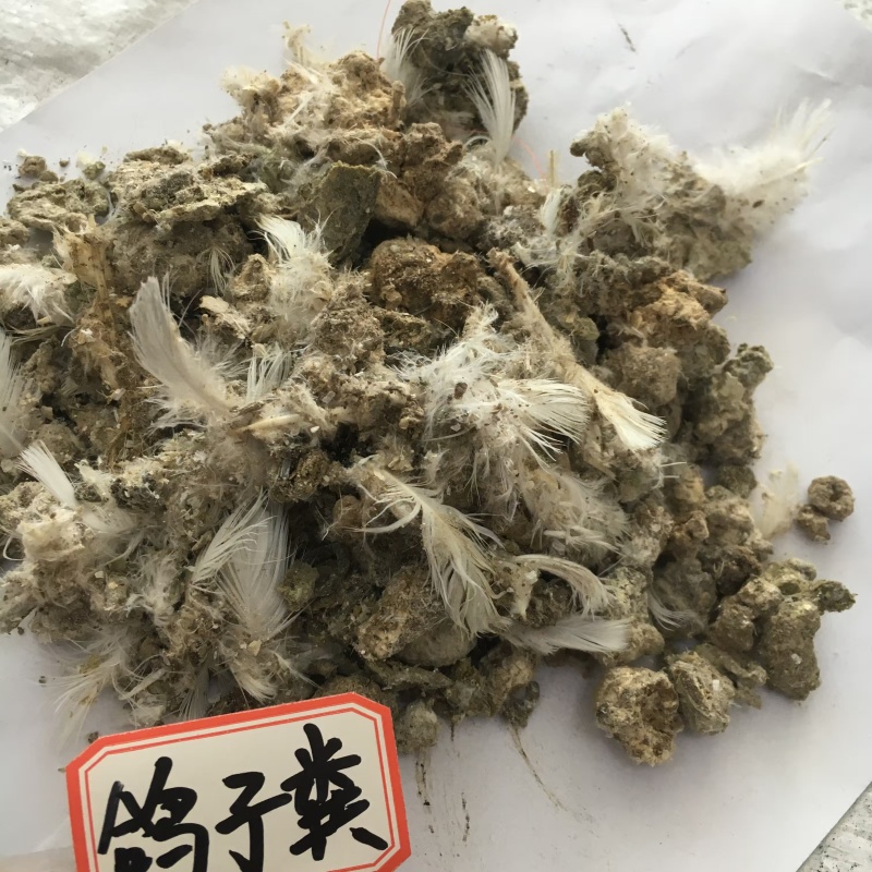 纯鸽子粪鸟粪颗粒肥榴莲种植鸽子粪农家肥