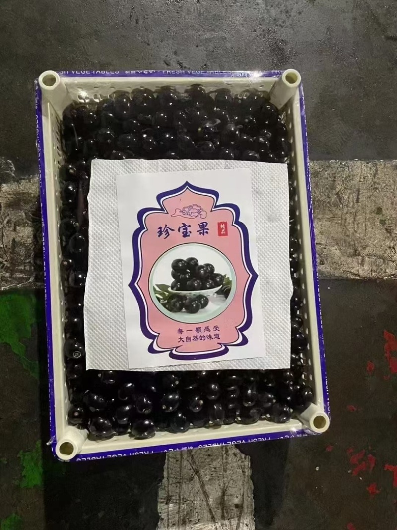 纯甜无籽树葡萄，产地现货直发，保质保量，欢迎订购