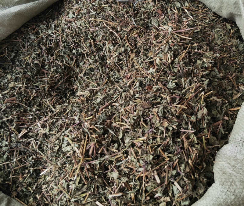 山区冬凌草，茎叶干货，量大价格可谈，可长期供货，欢迎咨询