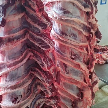 国产鲜牛肉，剔骨全牛肉，纯干无水清真屠宰，现杀现发