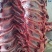 国产鲜牛肉，剔骨全牛肉，纯干无水清真屠宰，现杀现发