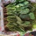 菠菜价格低走货量大