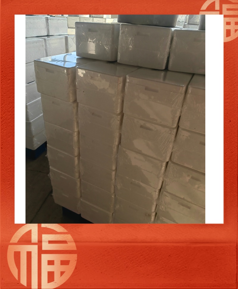 【精品】正宗乳山生蚝规格齐全常年供应肥度饱满产地直发