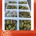 【精品】正宗乳山生蚝规格齐全常年供应肥度饱满产地直发