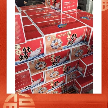 【精品】正宗乳山生蚝规格齐全常年供应肥度饱满产地直发