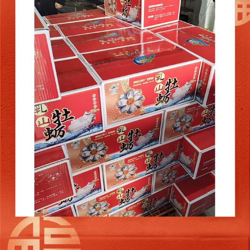 【精品】正宗乳山生蚝规格齐全常年供应肥度饱满产地直发