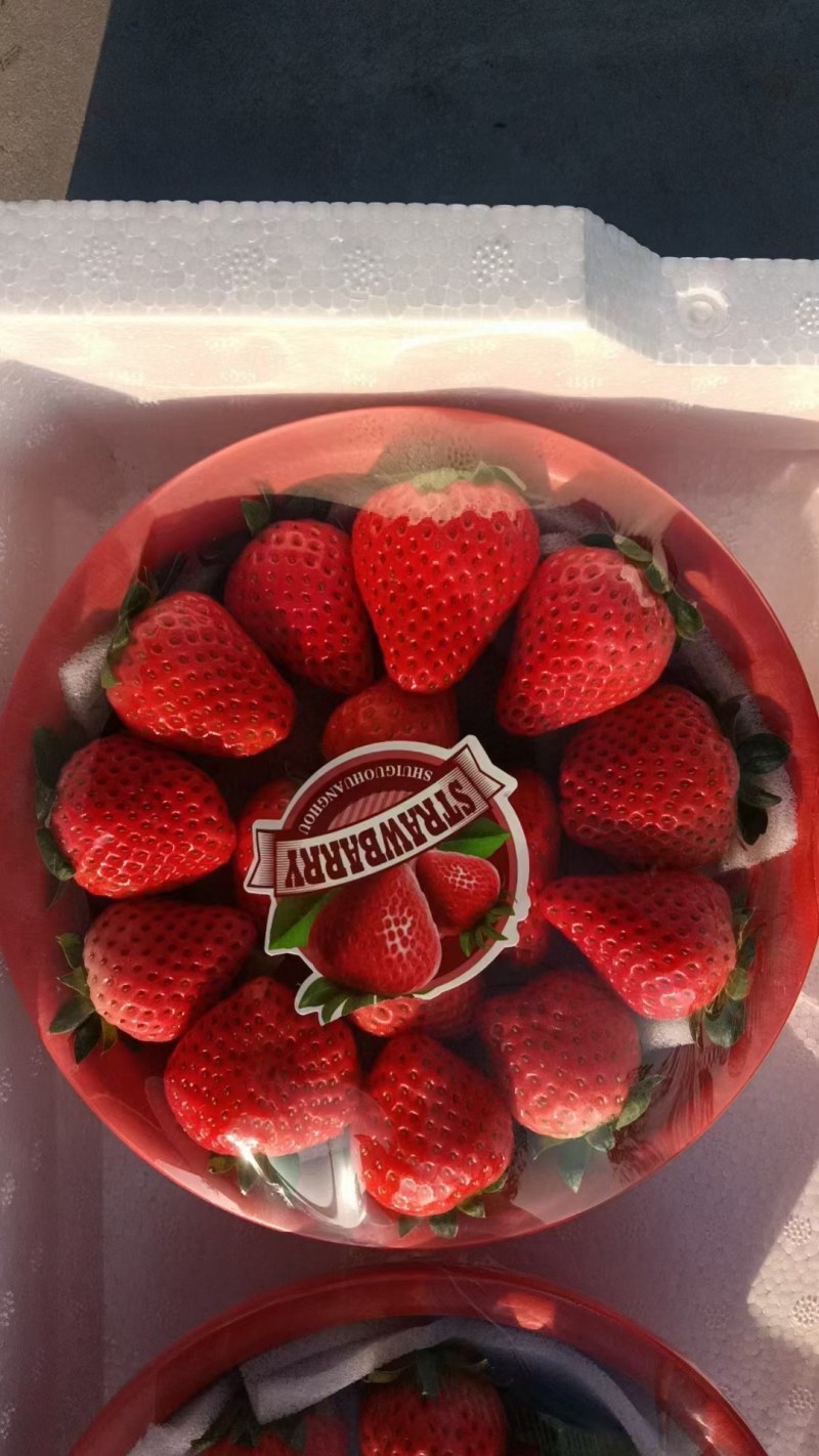 正宗奶油草莓，中货，大果大量有货需要的联系
