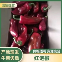 红泡椒，泡椒现摘现发，按需采摘包装，对接各渠道货源充足