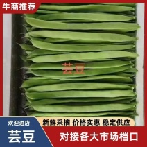 扁青芸豆！精品，二级，电商货，通货！大量上市