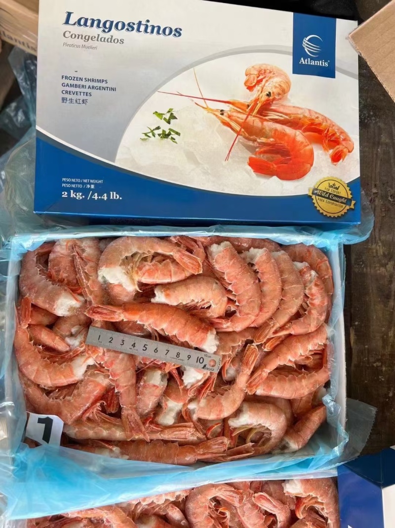 阿根廷红虾