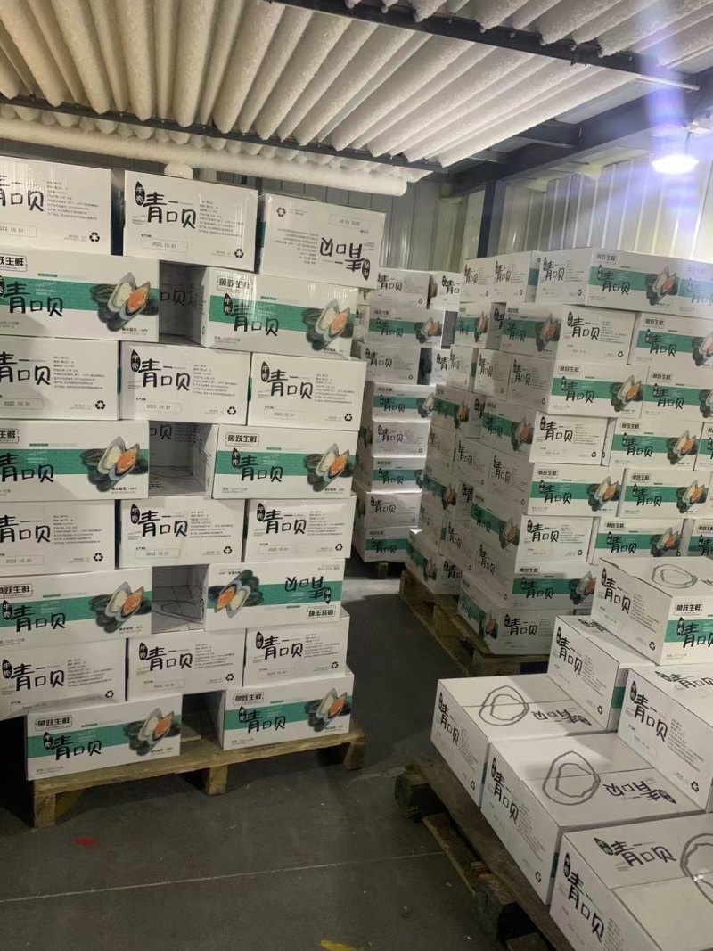 青口贝水产贝类价格实惠诚信合作欢迎客户来电咨询