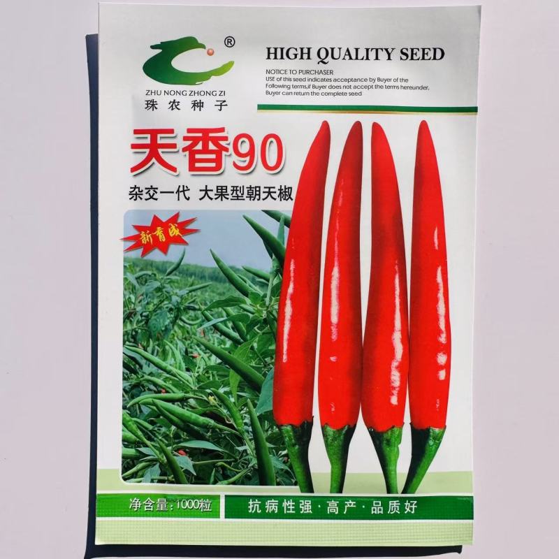 天香90朝天椒种子