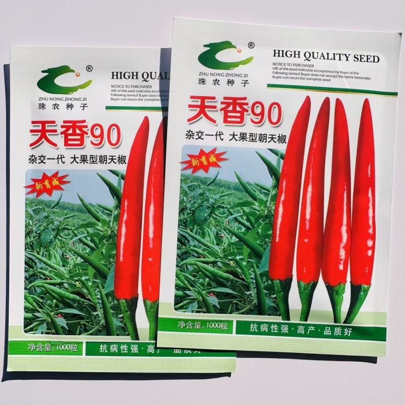天香90朝天椒种子