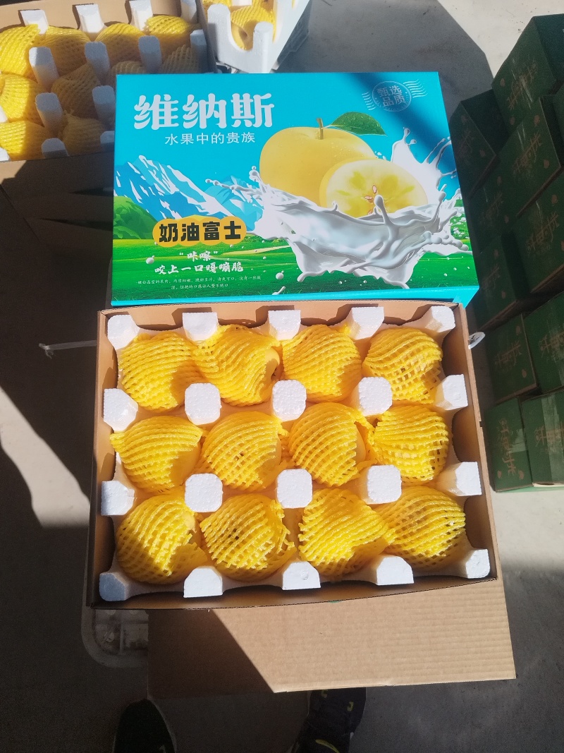 山东黄金维纳斯苹果，果肉金黄，纯甜无酸，75以上中大果。