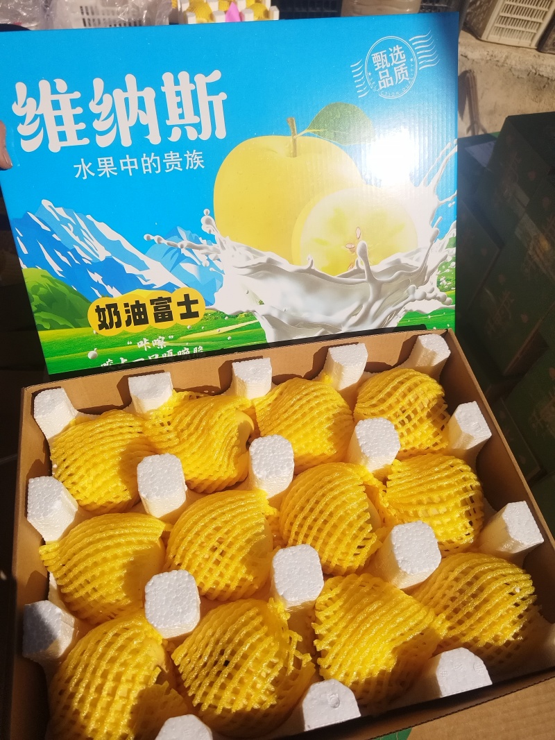 山东黄金维纳斯苹果，果肉金黄，纯甜无酸，75以上中大果。