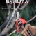 进口电动修枝剪电动伸缩杆充电式园林新款电动高枝锯专用户外