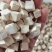 新货无硫精品茯苓丁批发云苓大货批发规格齐全